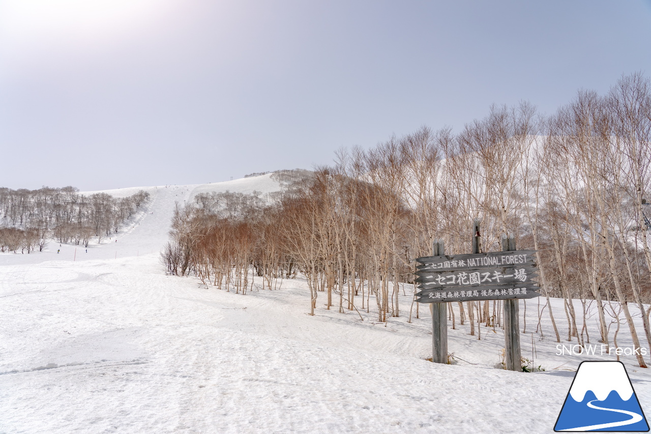 ニセコビレッジ ＆ ニセコHANAZONOリゾート ＆ ニセコ東急 グラン・ヒラフ｜現在も全エリアで山頂から山麓まで大部分滑走可能！とにかく広い世界のニセコ(^^)v